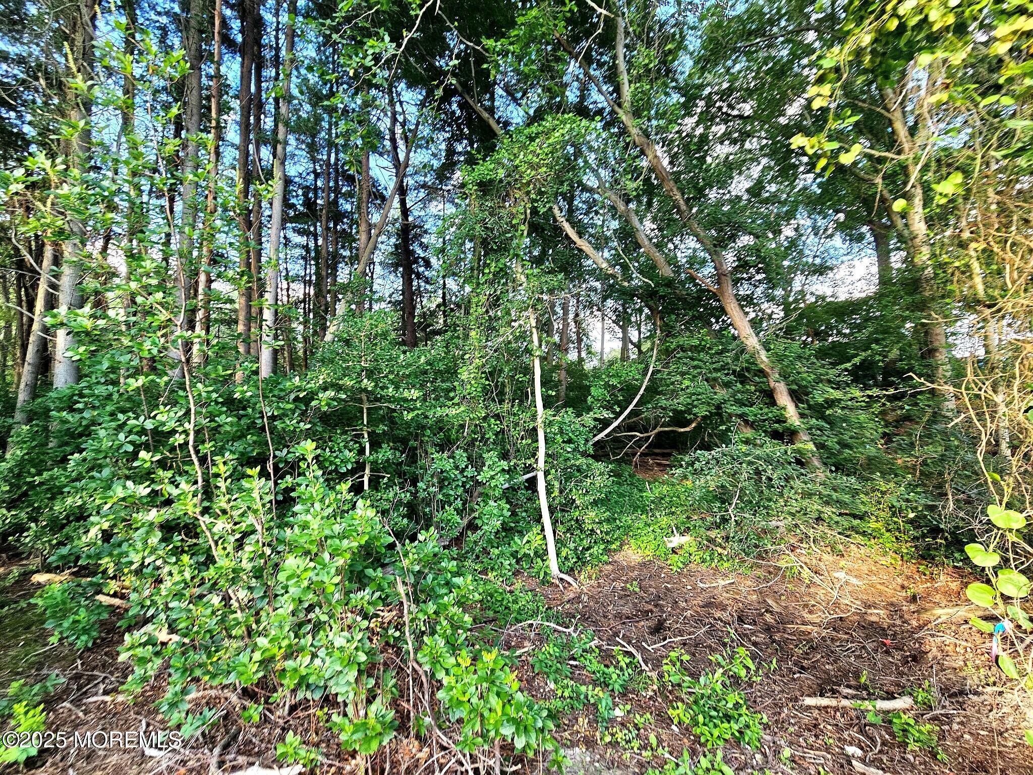 74 Gloria Ann Smith Drive