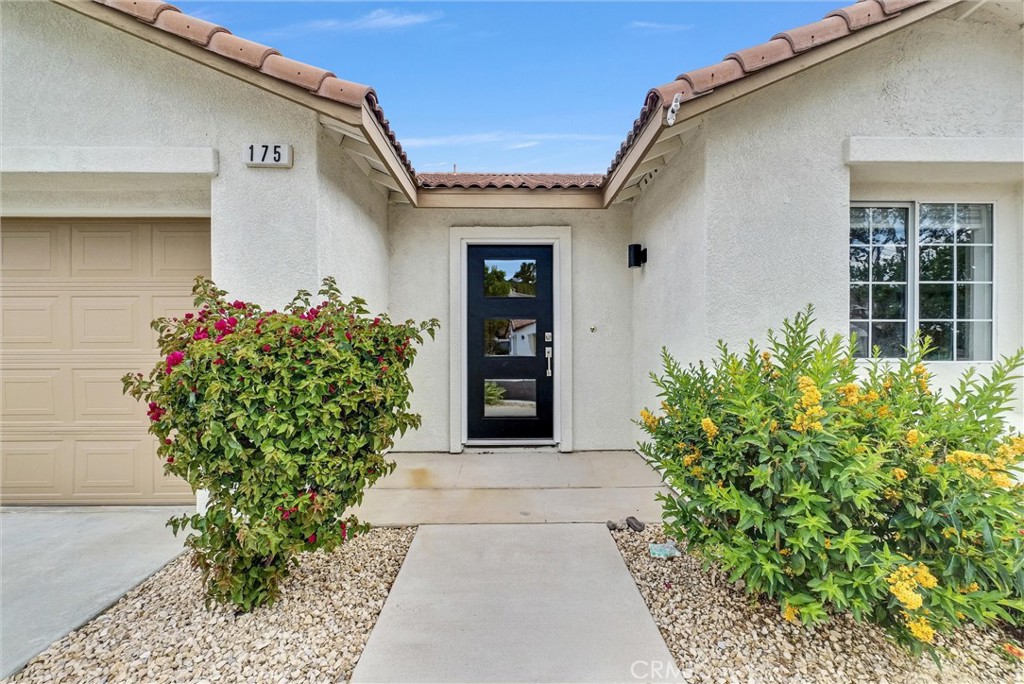 175 Paperbirch Circle