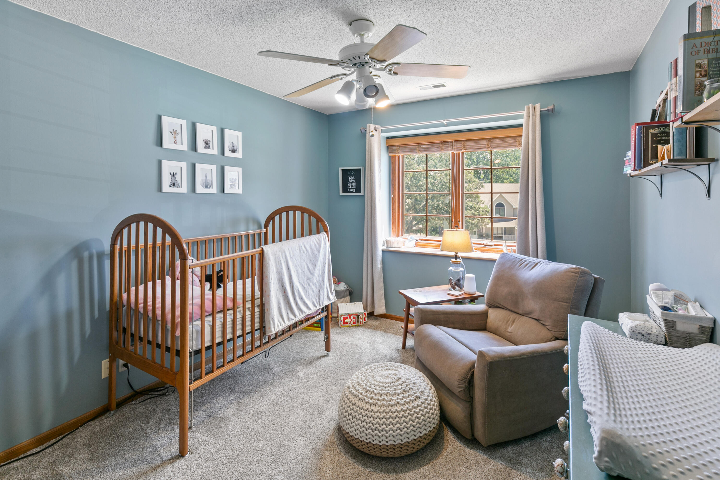 133 SUNNY RIDGE Drive