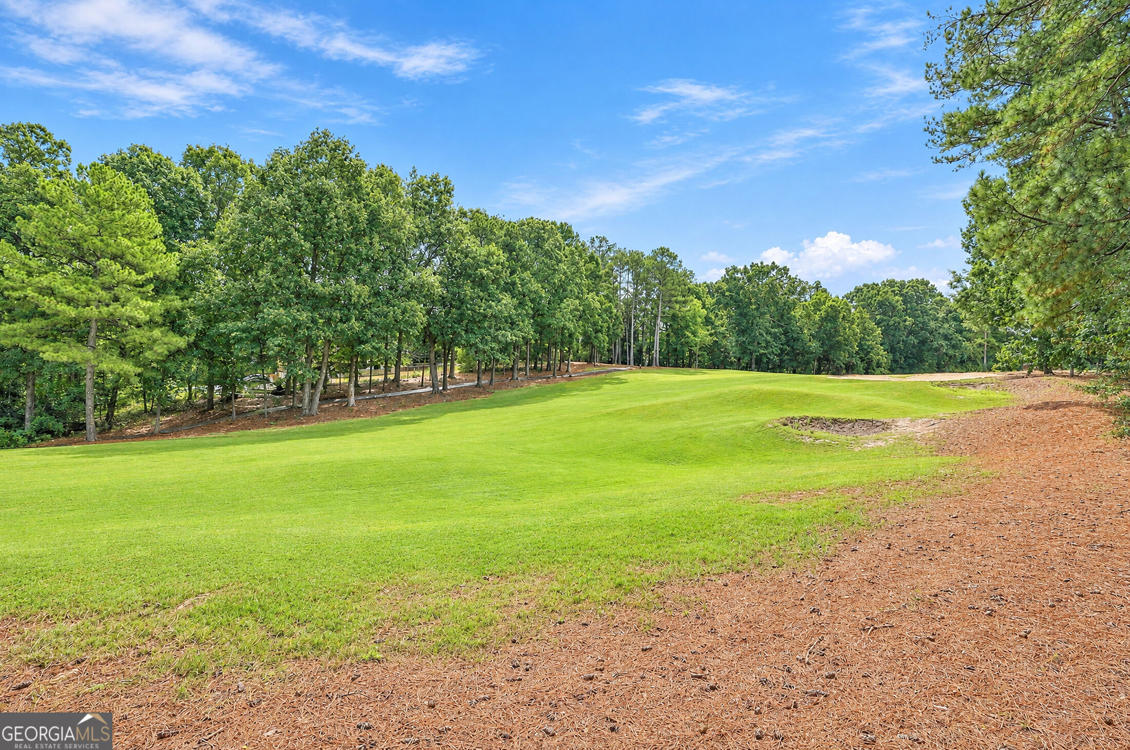 Wide green lawn bordered by mature trees, with pine-straw ground cover in the foreground.