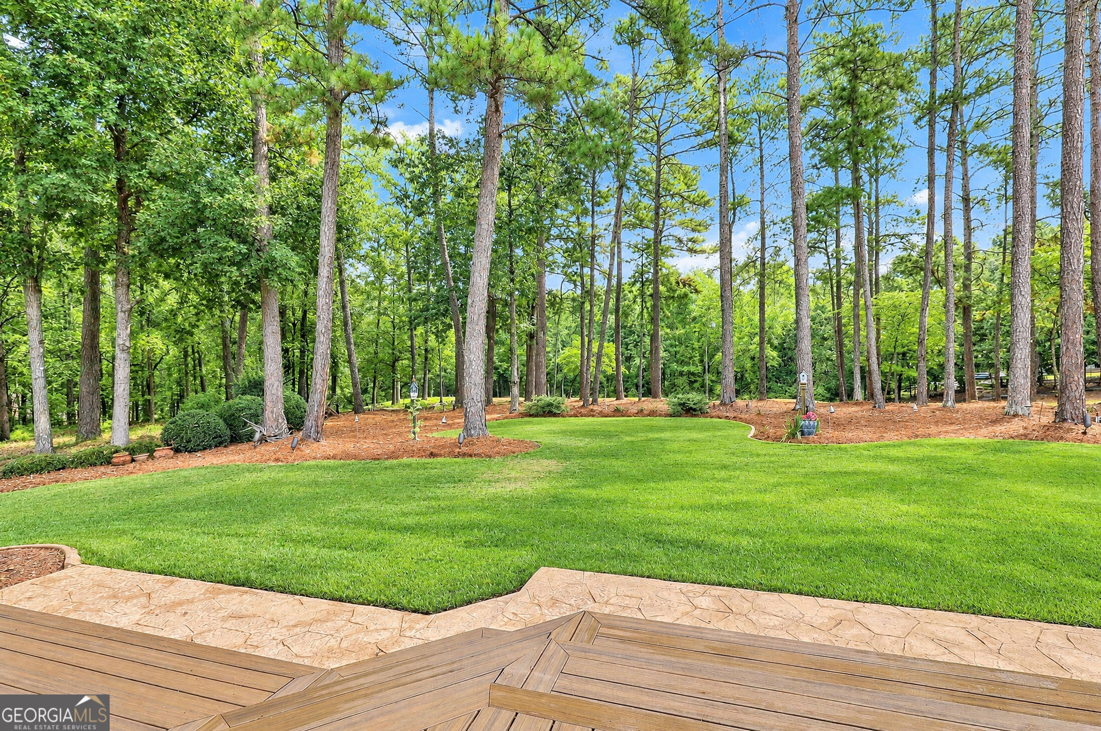 Backyard lawn bordered by tall pine trees, viewed from a stamped-concrete patio and wooden deck.
