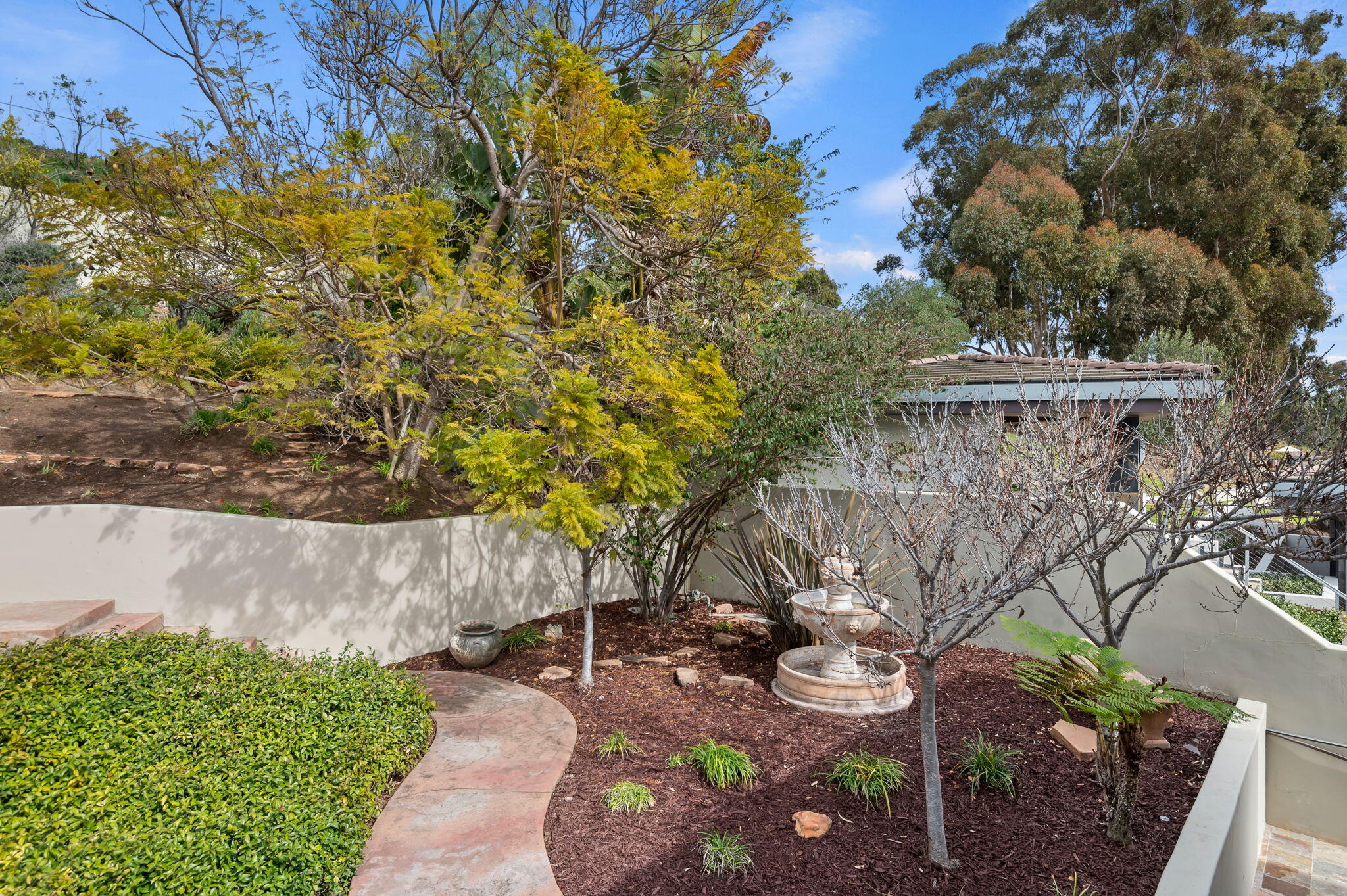 611 Buena Vista Street