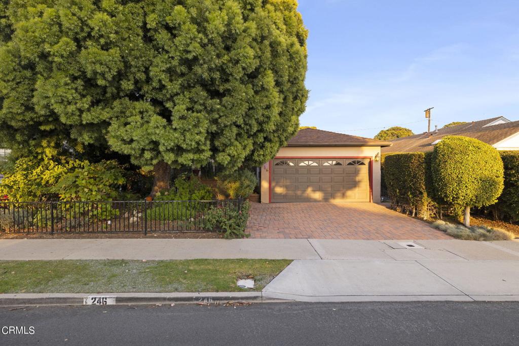246 Eugenia Drive