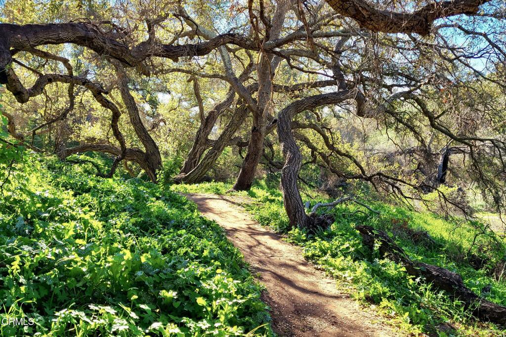 234 Roosevelt Avenue