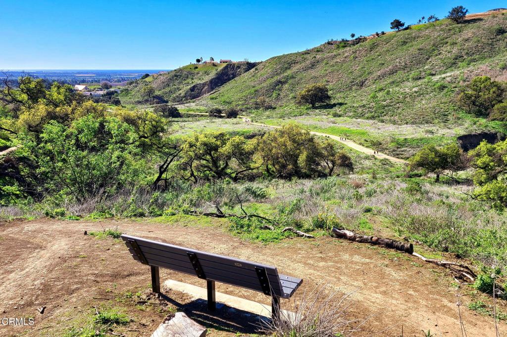 234 Roosevelt Avenue