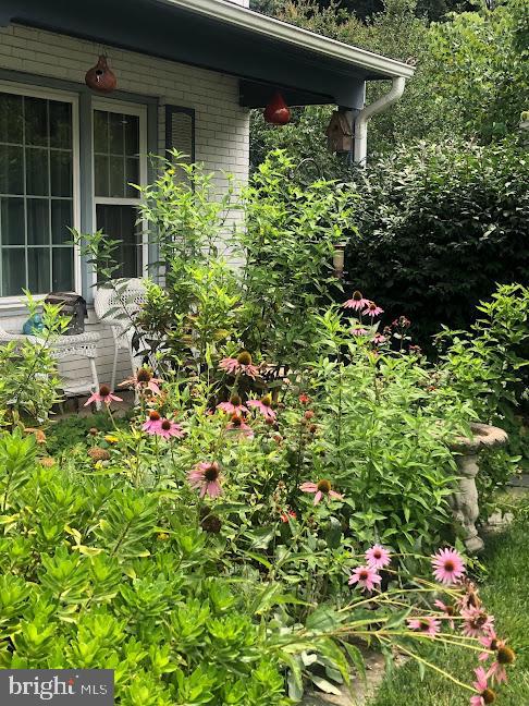 8109 Overton Ct
