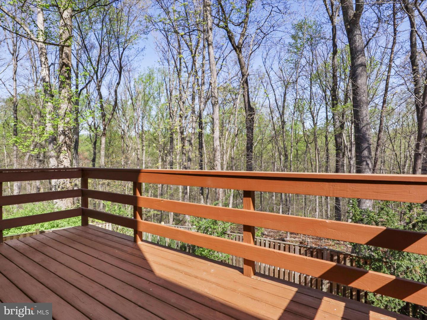 8238 Burning Forest Ct