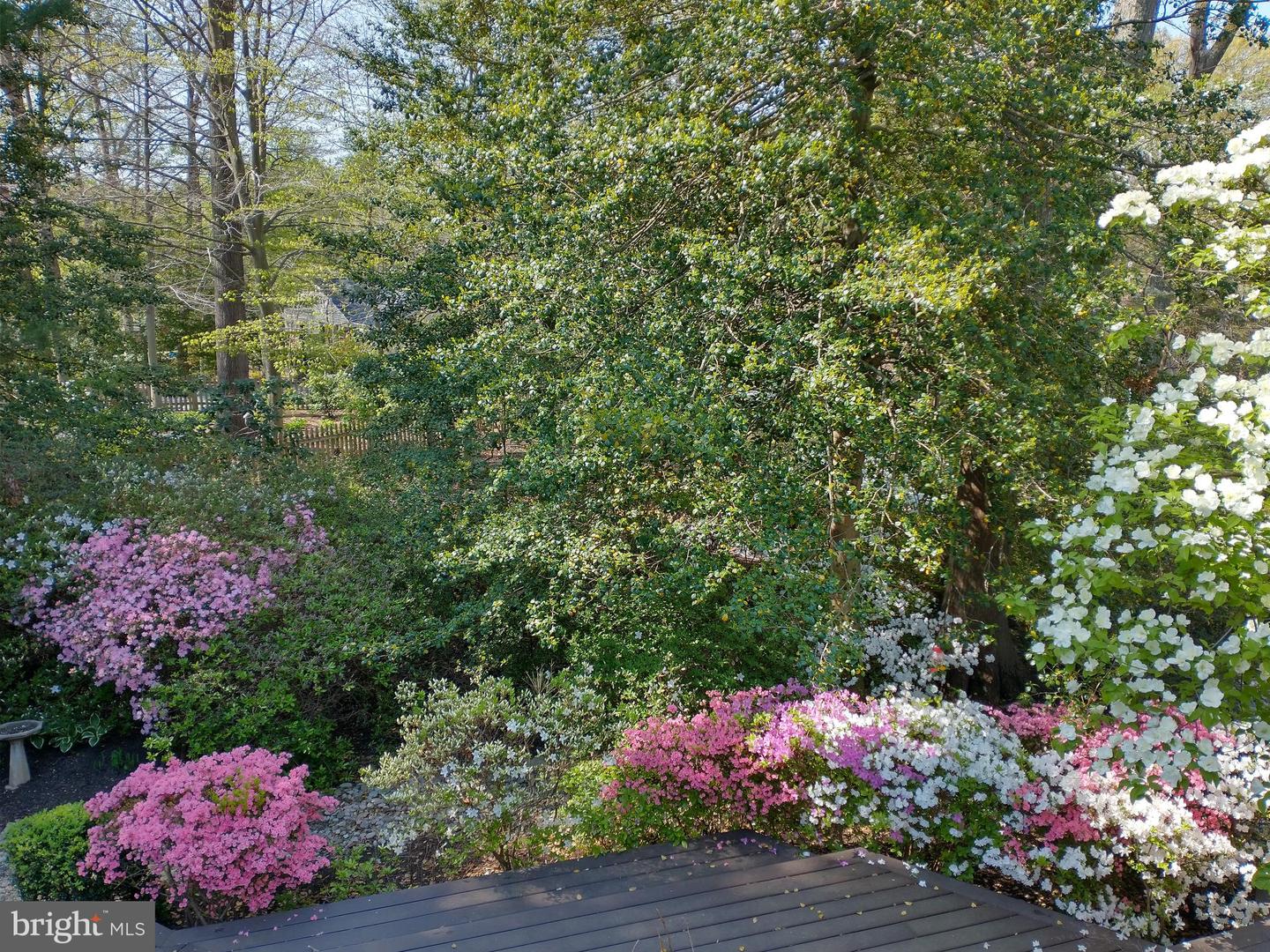 8315 Toll House Rd