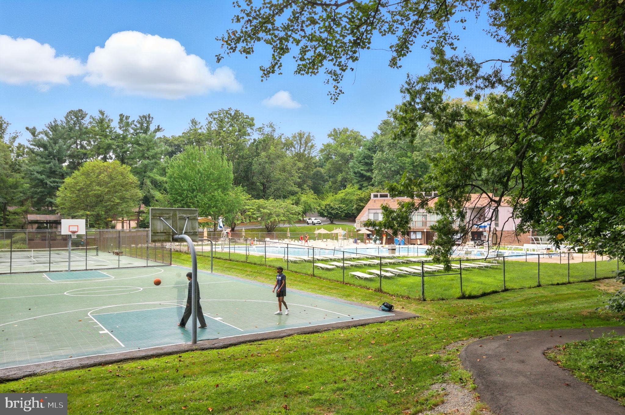 4217 WILLOW WOODS DRIVE