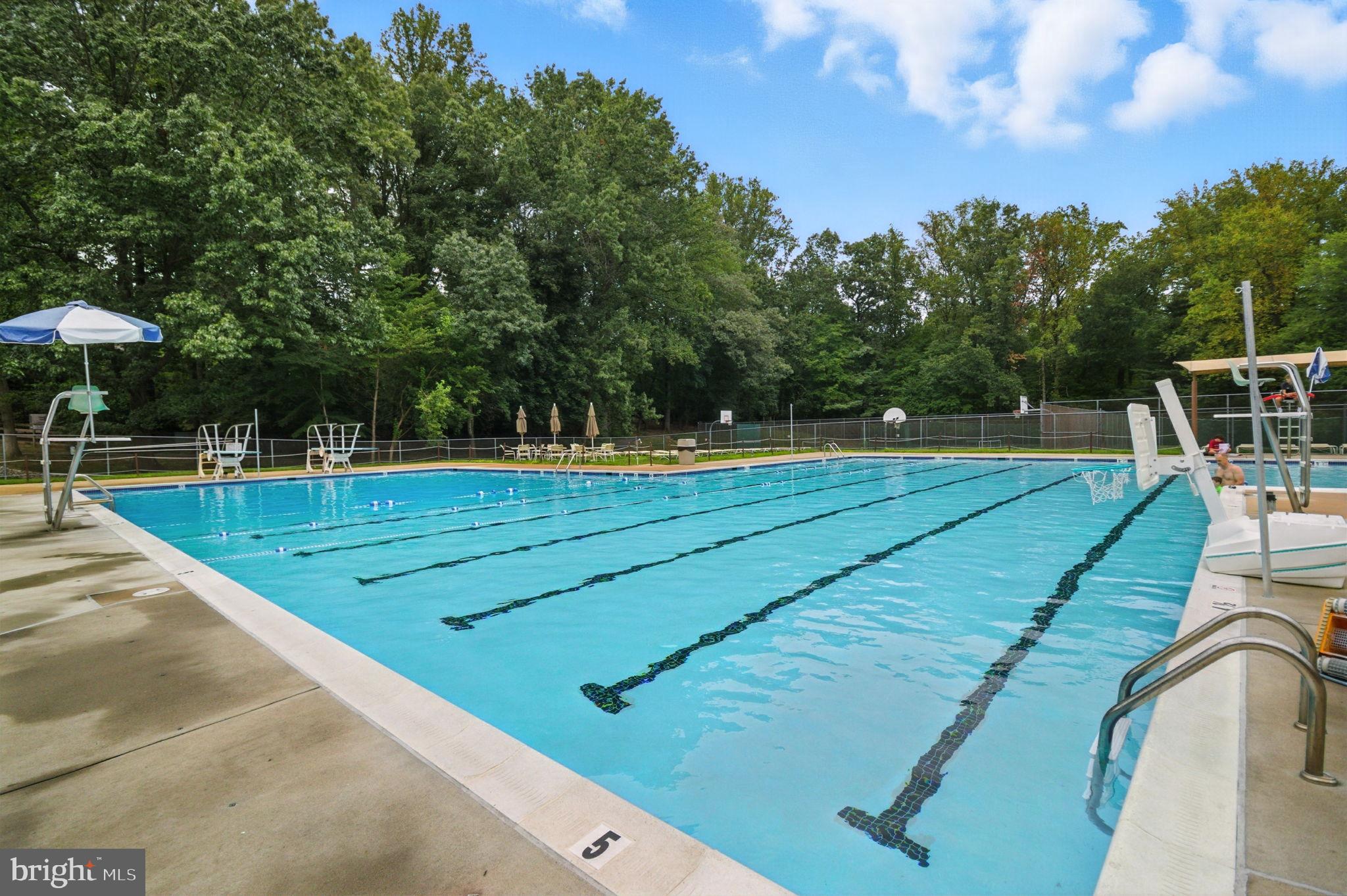 4217 WILLOW WOODS DRIVE