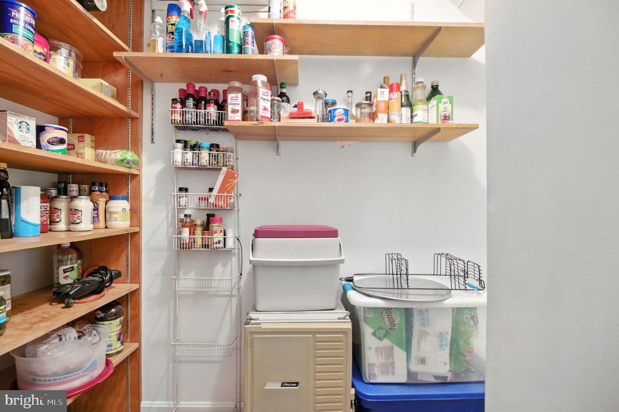 4217 WILLOW WOODS DRIVE