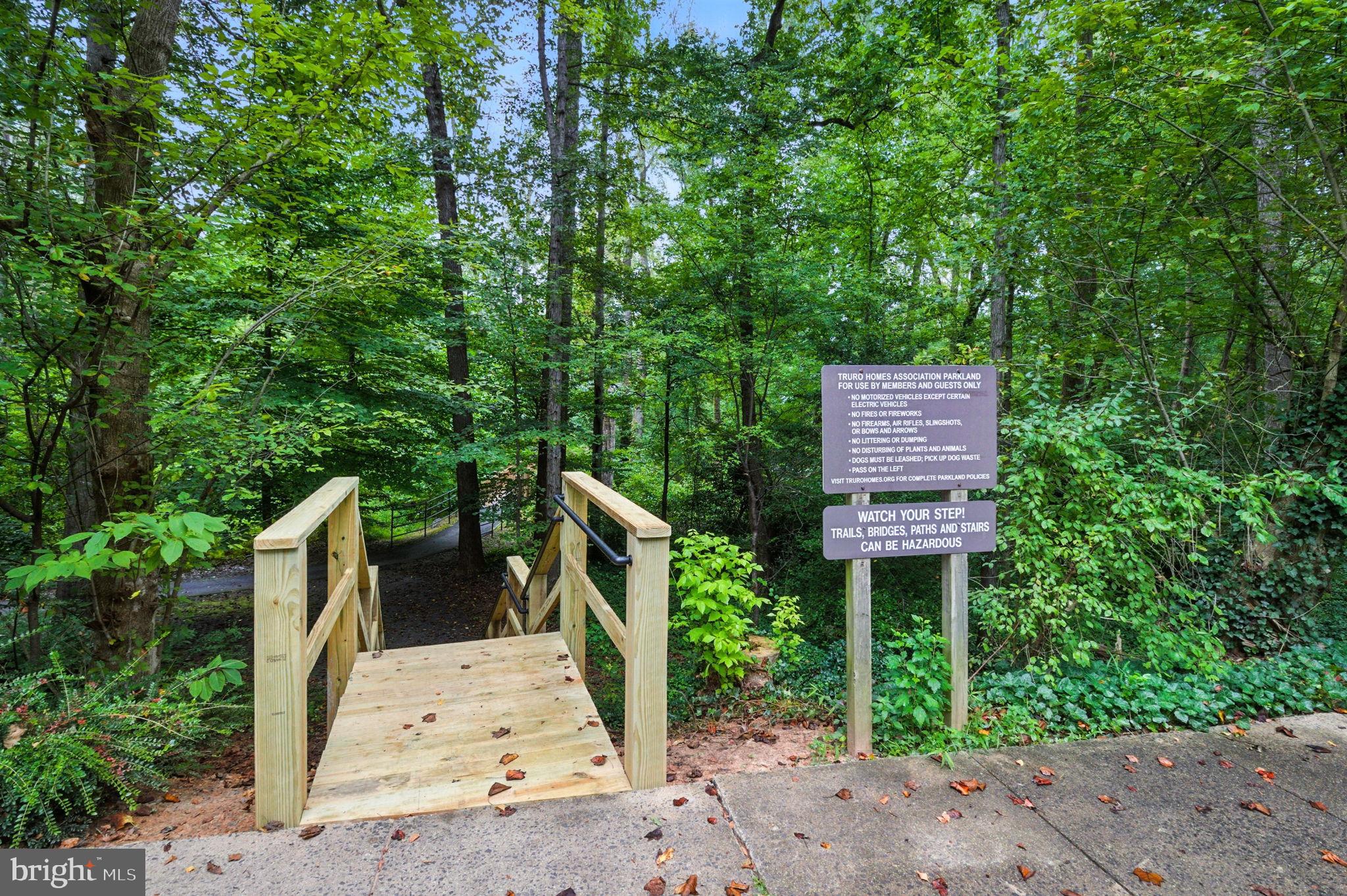 4217 WILLOW WOODS DRIVE