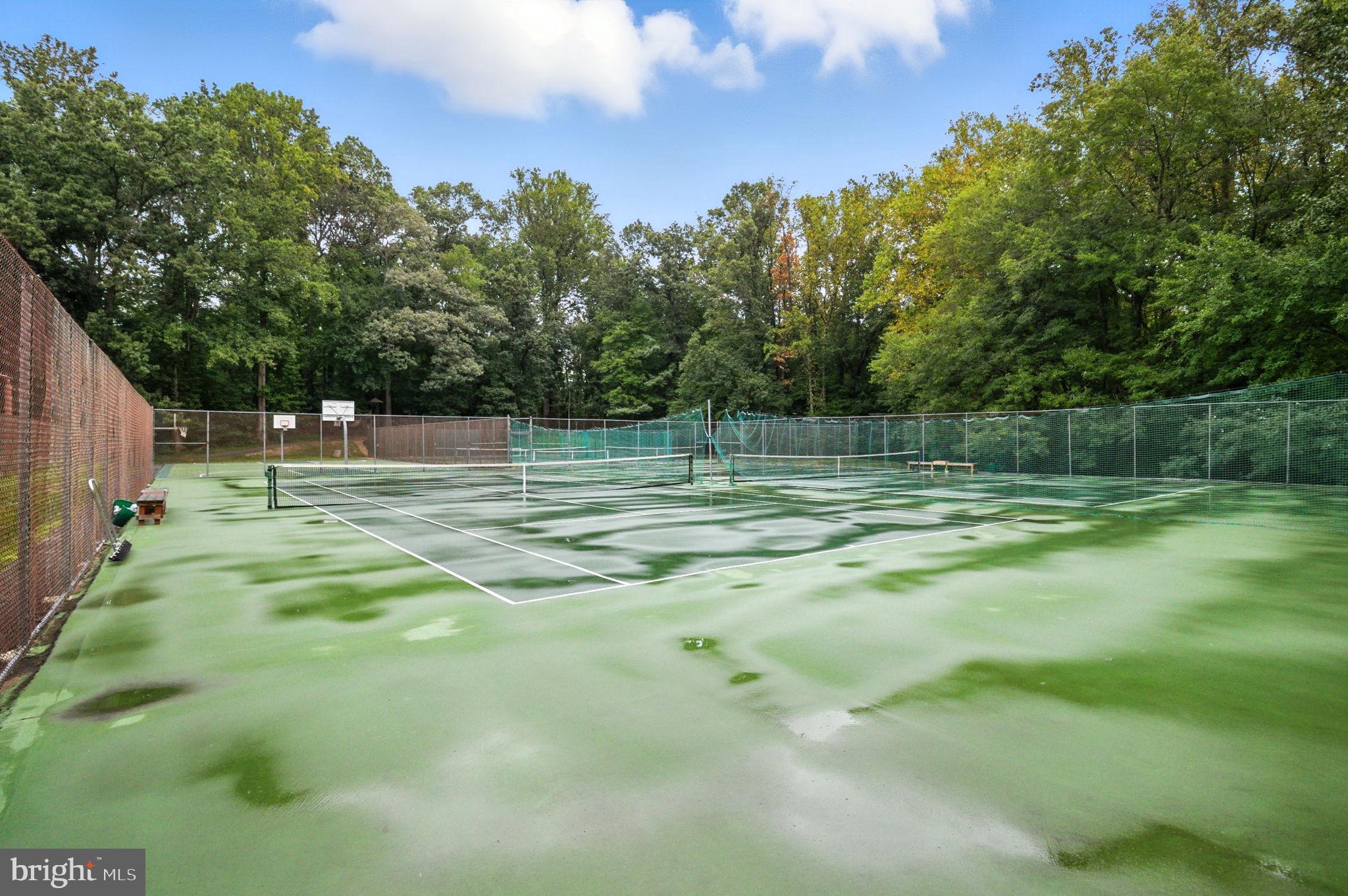 4217 WILLOW WOODS DRIVE