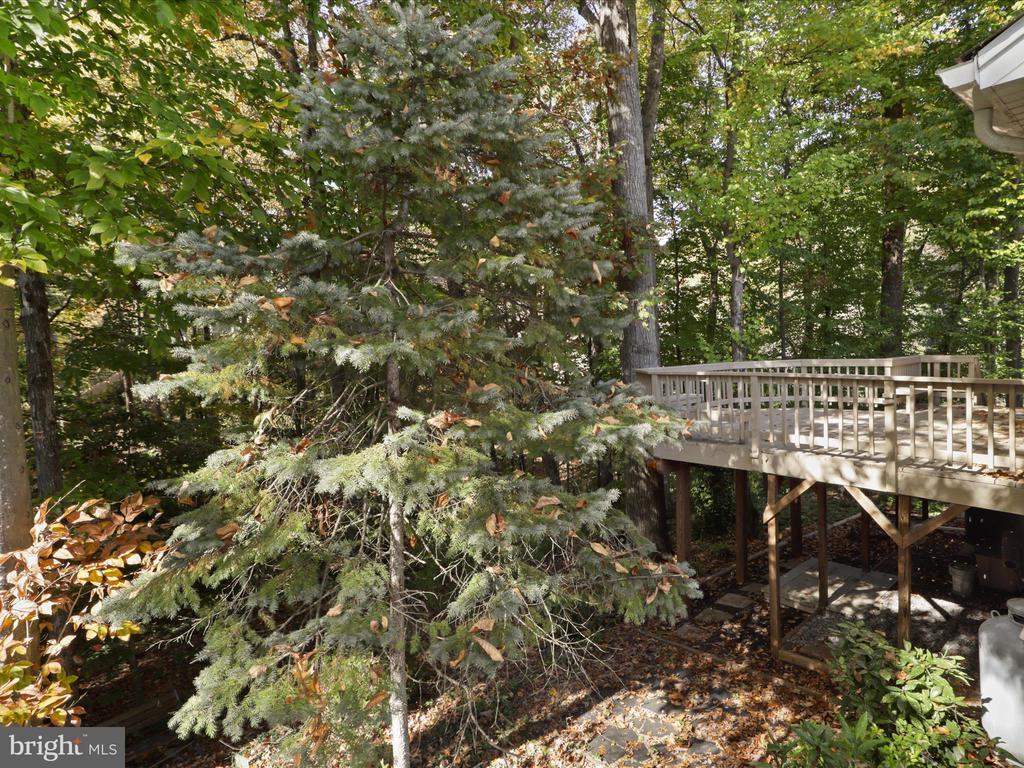 15414 Silvan Glen Dr