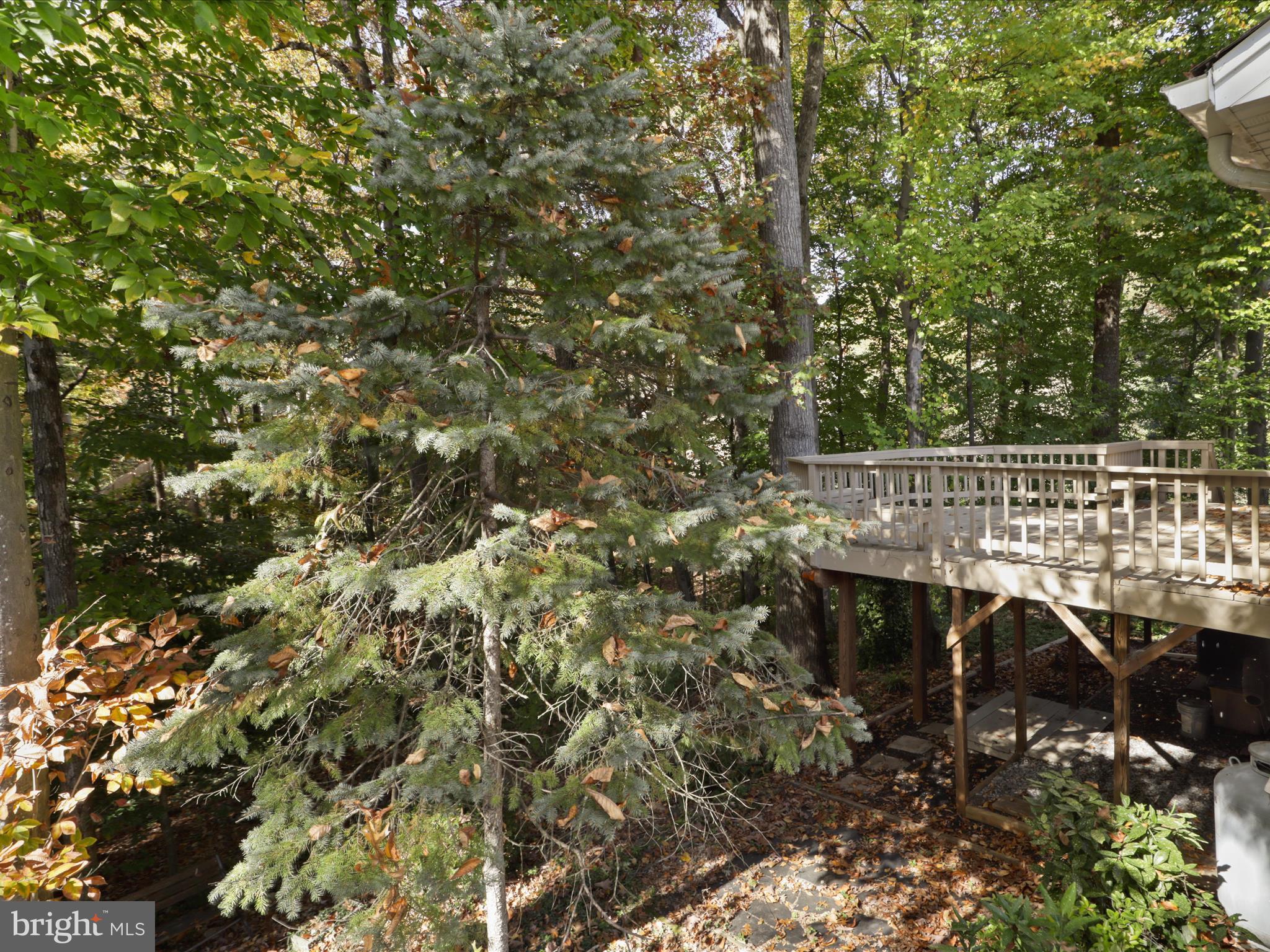 15414 Silvan Glen Dr