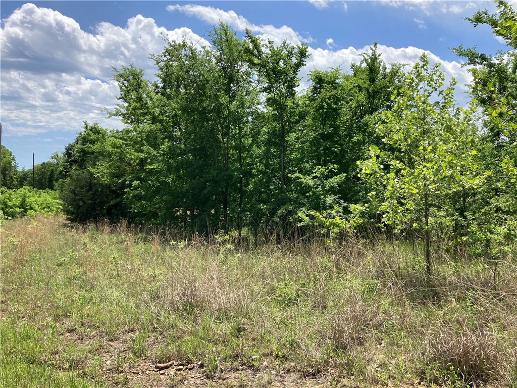 9 lots TBD Elderberry Lane 6