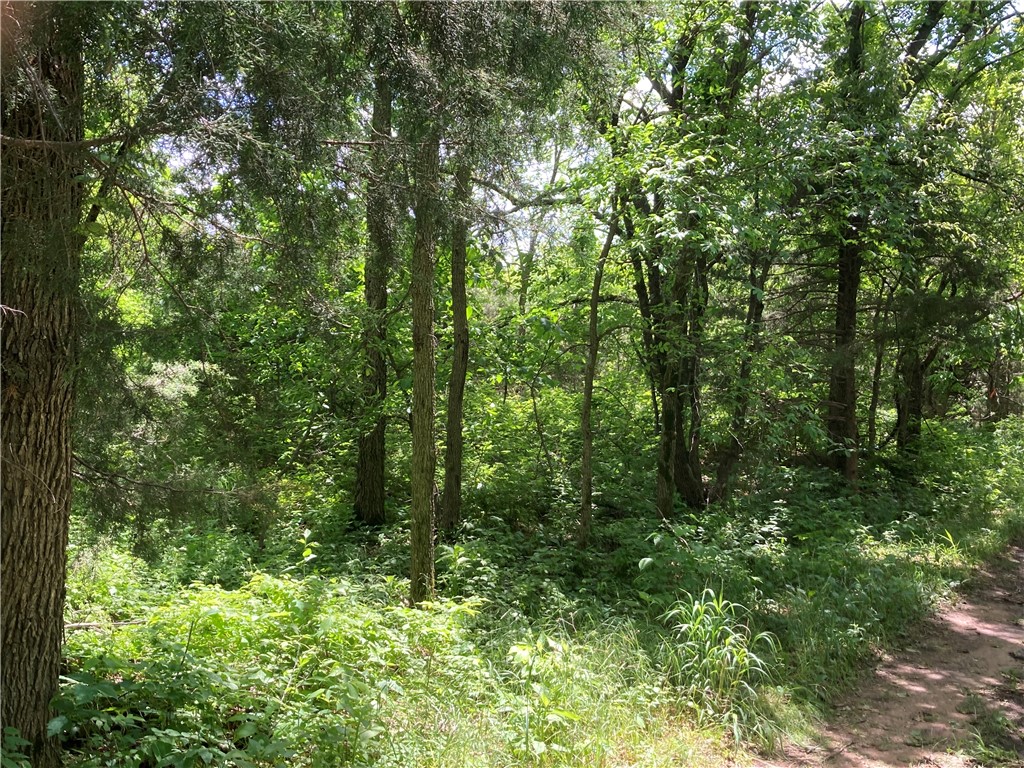 9 lots TBD Elderberry Lane 6