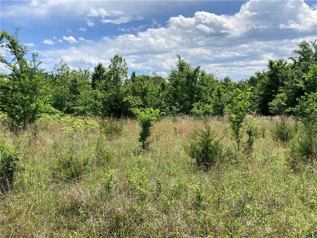 9 lots TBD Elderberry Lane 6