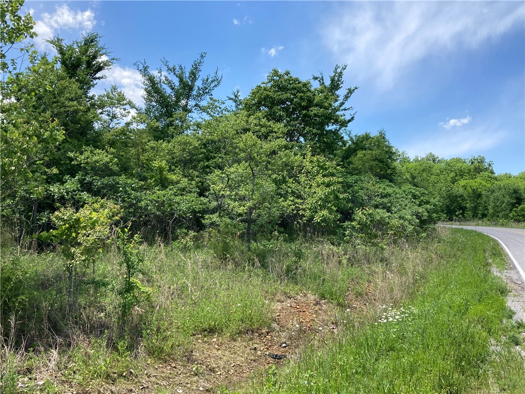 9 lots TBD Elderberry Lane 6