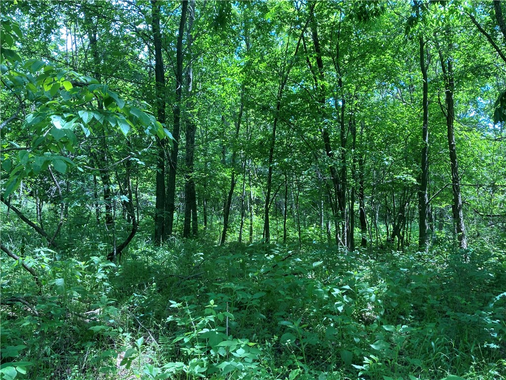 9 lots TBD Elderberry Lane 6