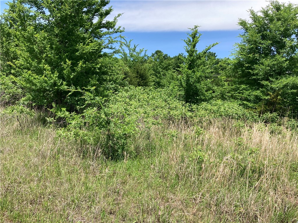 9 lots TBD Elderberry Lane 6