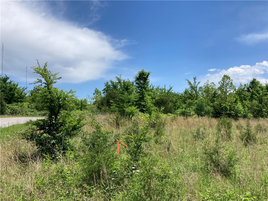 9 lots TBD Elderberry Lane 6