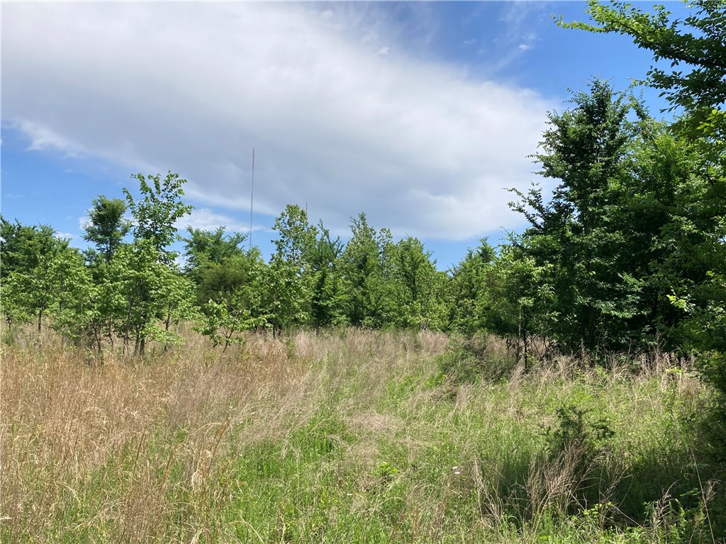 9 lots TBD Elderberry Lane 6