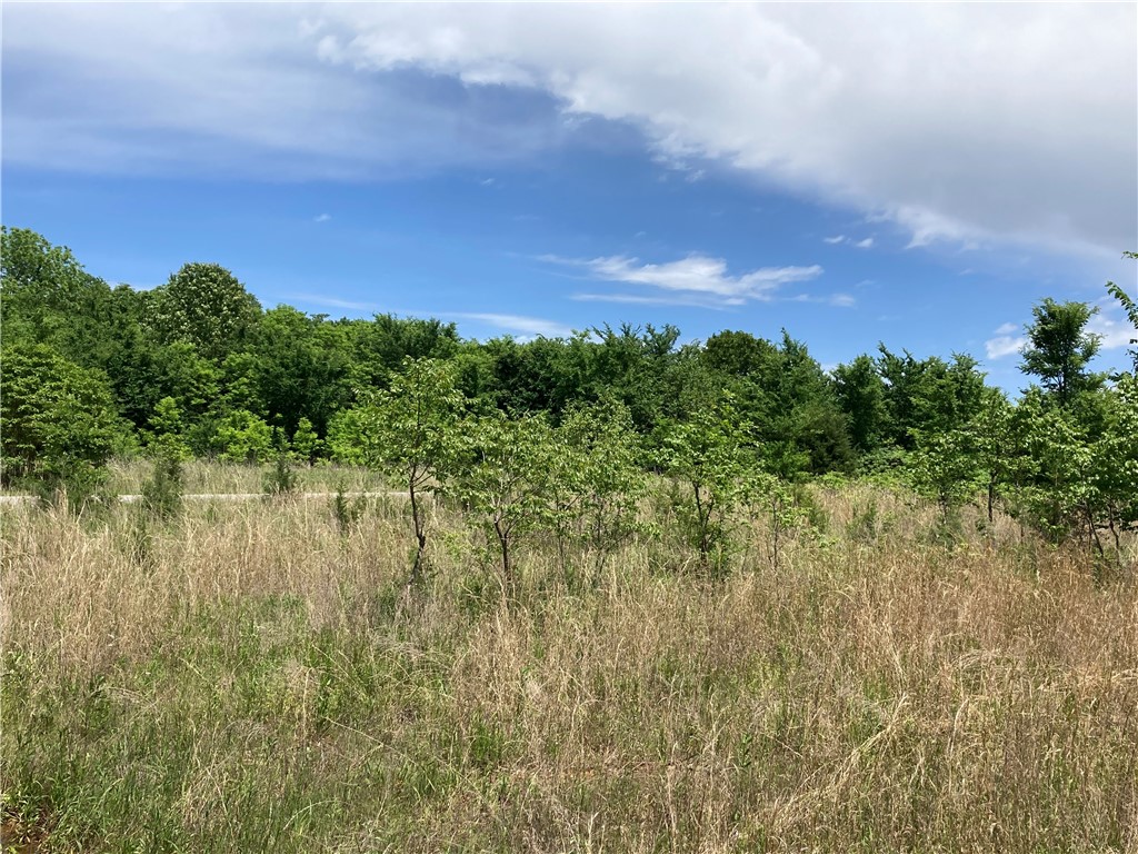 9 lots TBD Elderberry Lane 6
