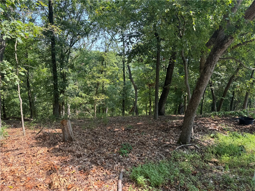 21115 Lake Ridge Place