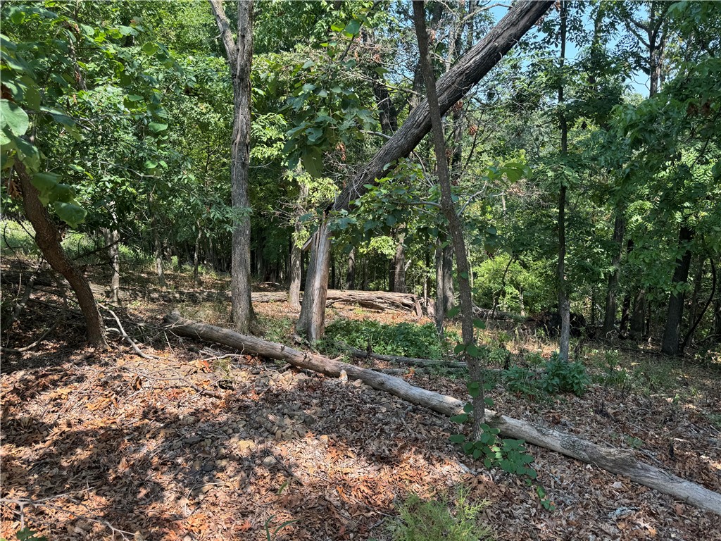 21115 Lake Ridge Place
