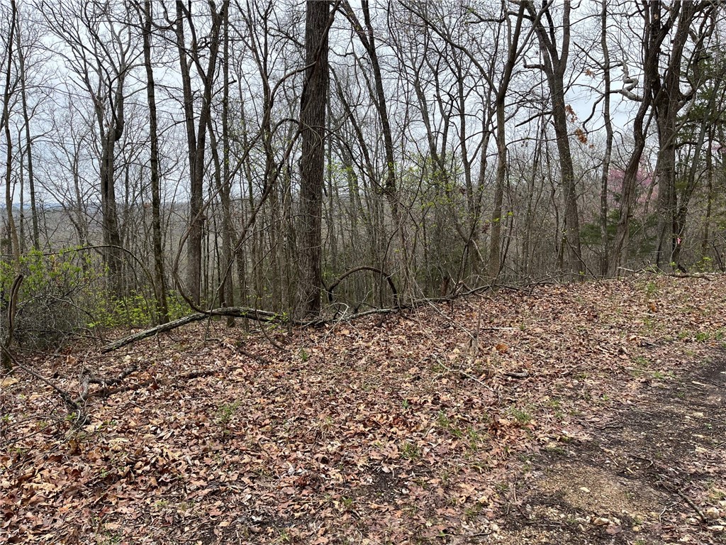 Lot 657 Buckeye Road