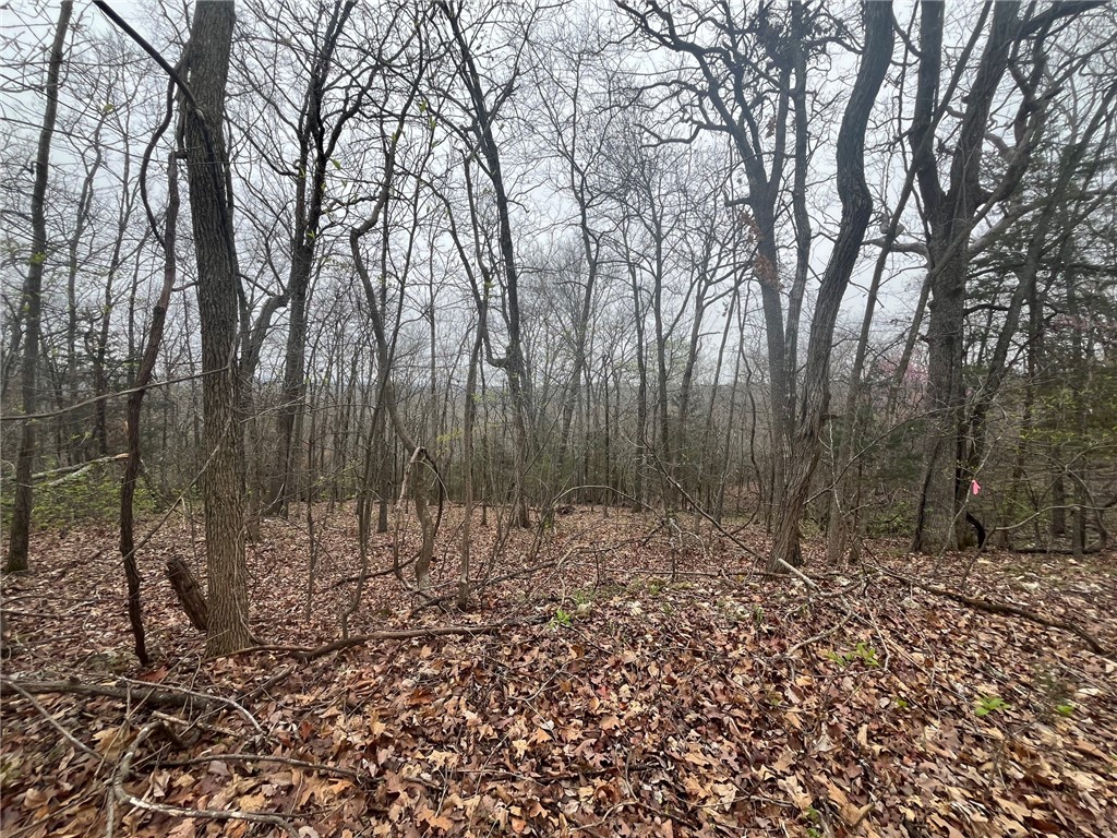 Lot 657 Buckeye Road