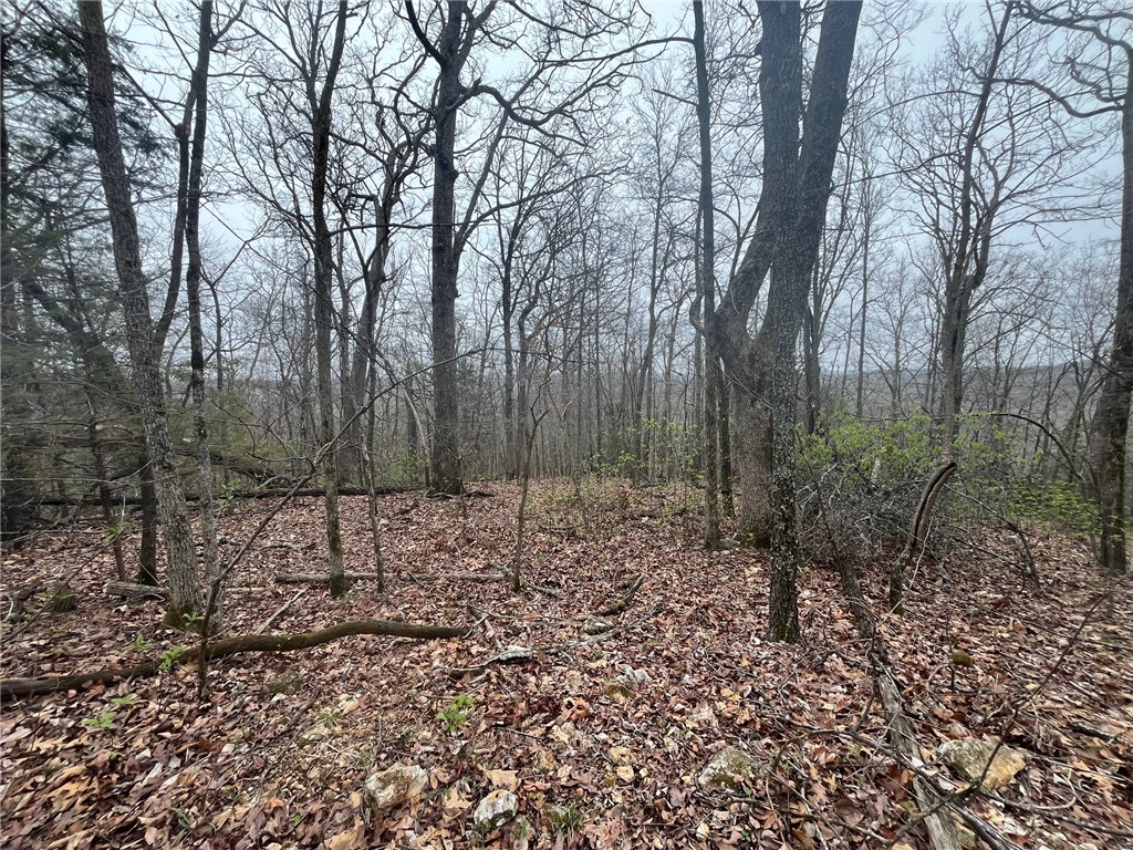 Lot 657 Buckeye Road