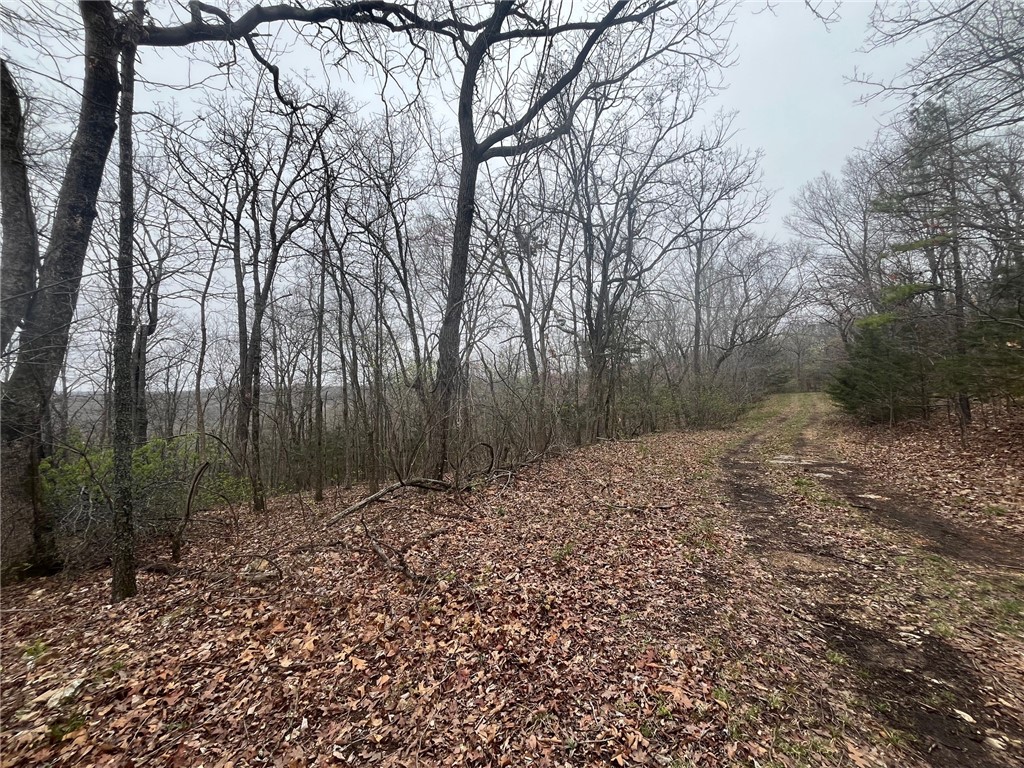 Lot 657 Buckeye Road