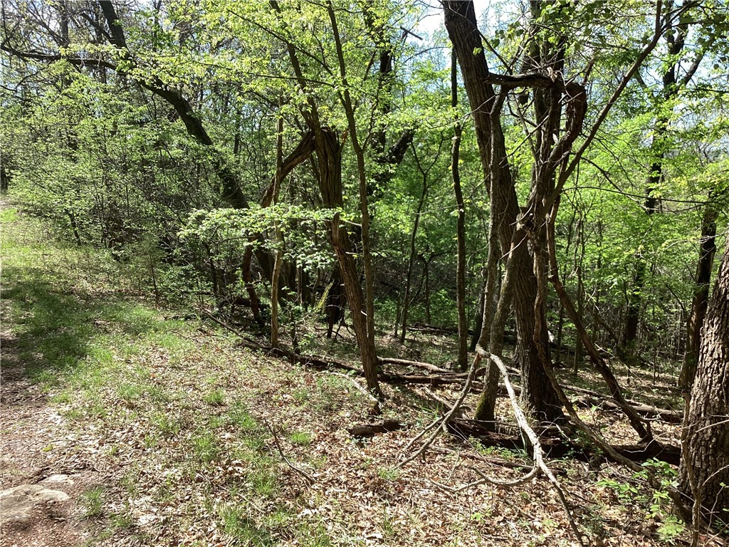 Buckeye Road