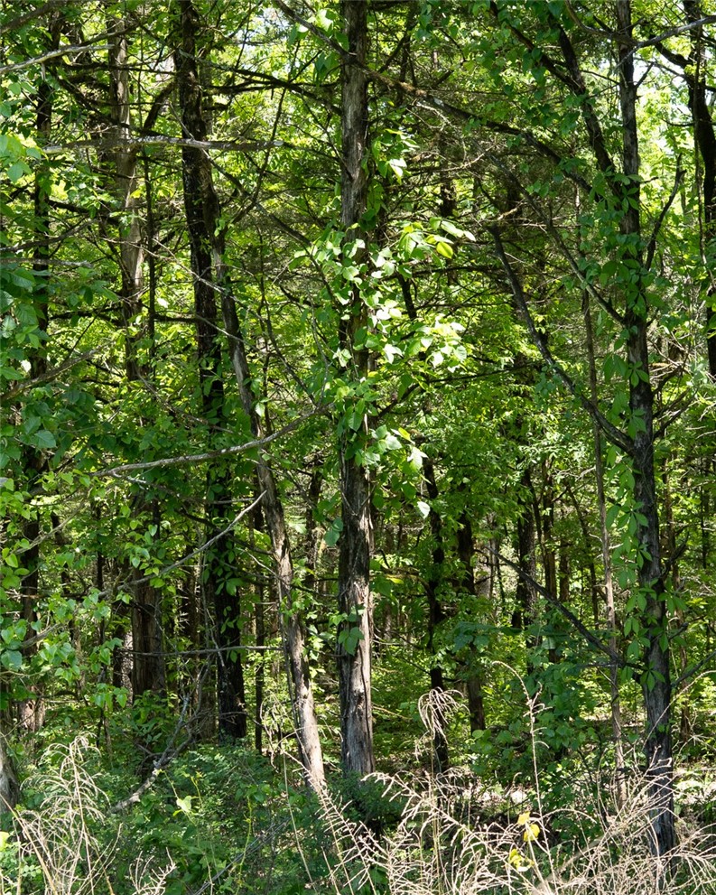 10 Acres Barcelona Road