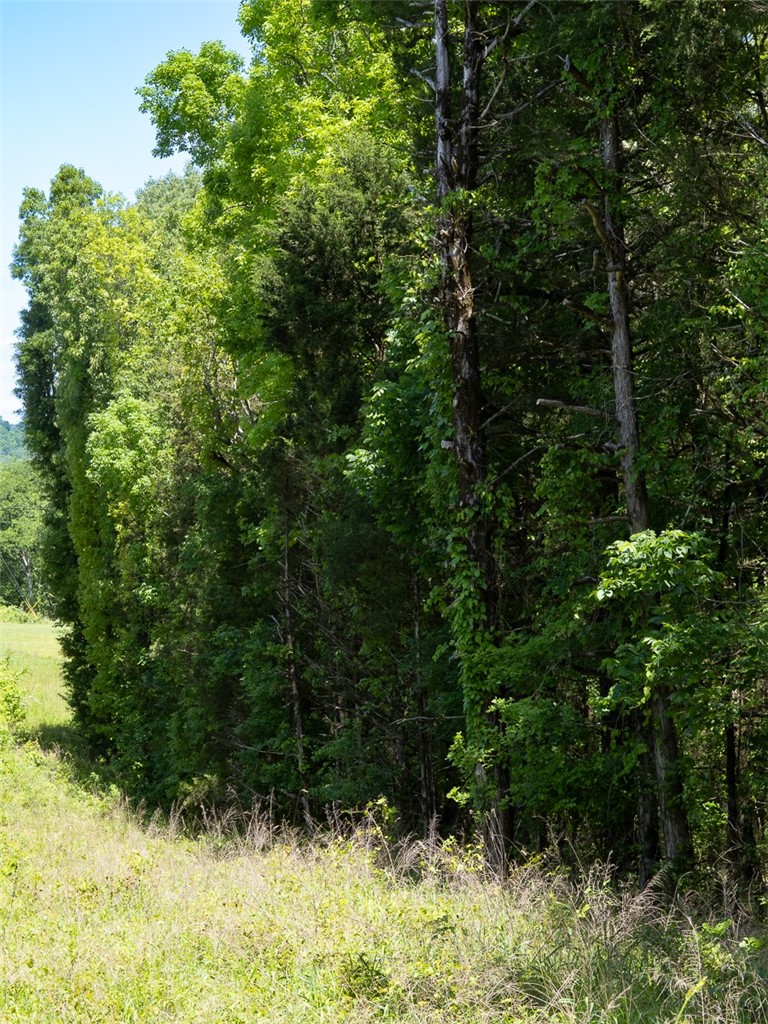 10 Acres Barcelona Road