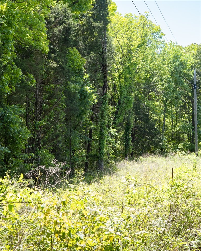 10 Acres Barcelona Road