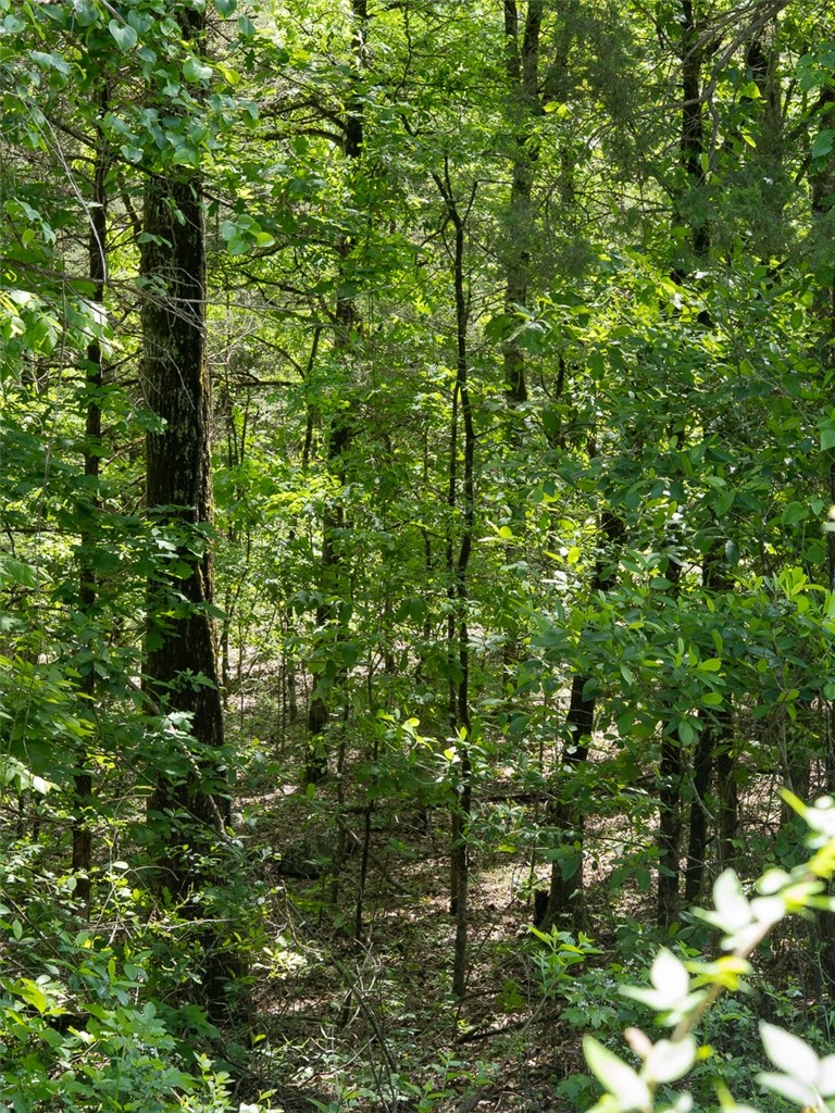 10 Acres Barcelona Road