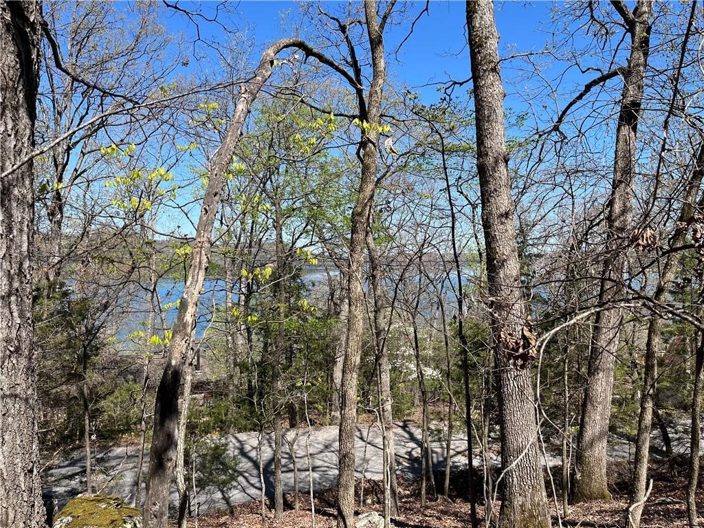 Lot 13 Dogwood Drive