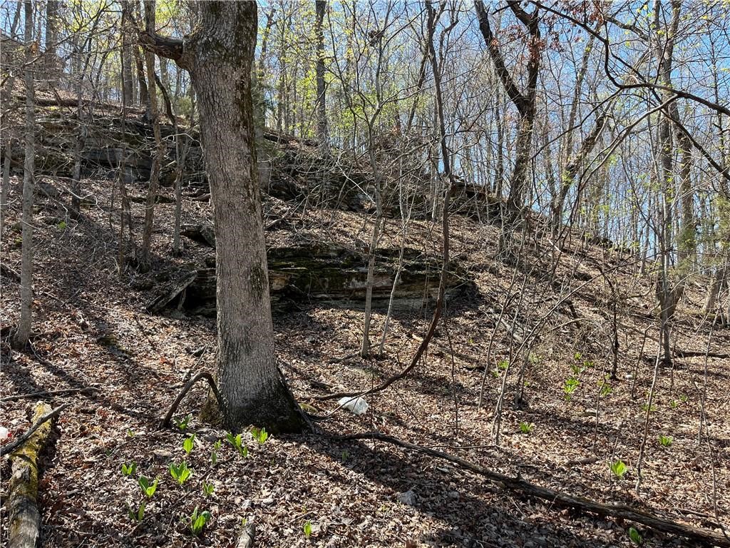 Lot 13 Dogwood Drive