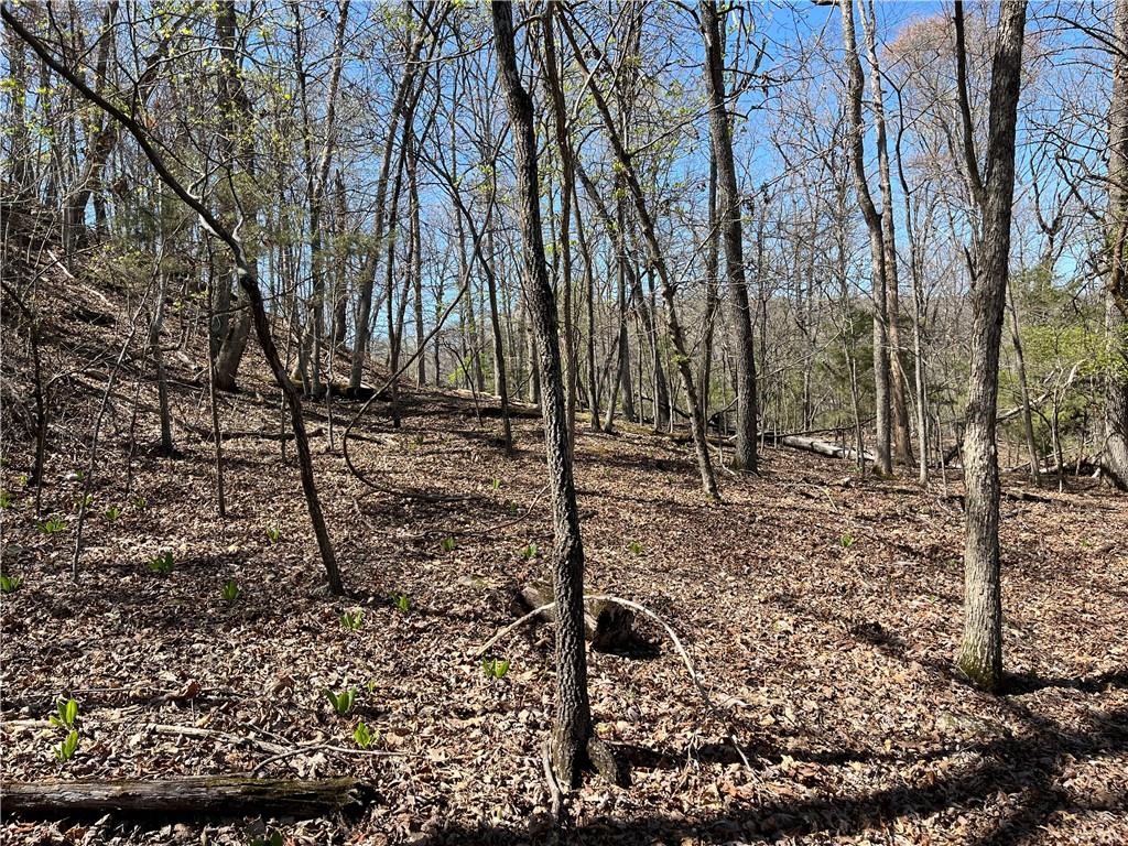 Lot 13 Dogwood Drive