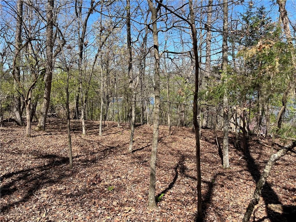 Lot 13 Dogwood Drive