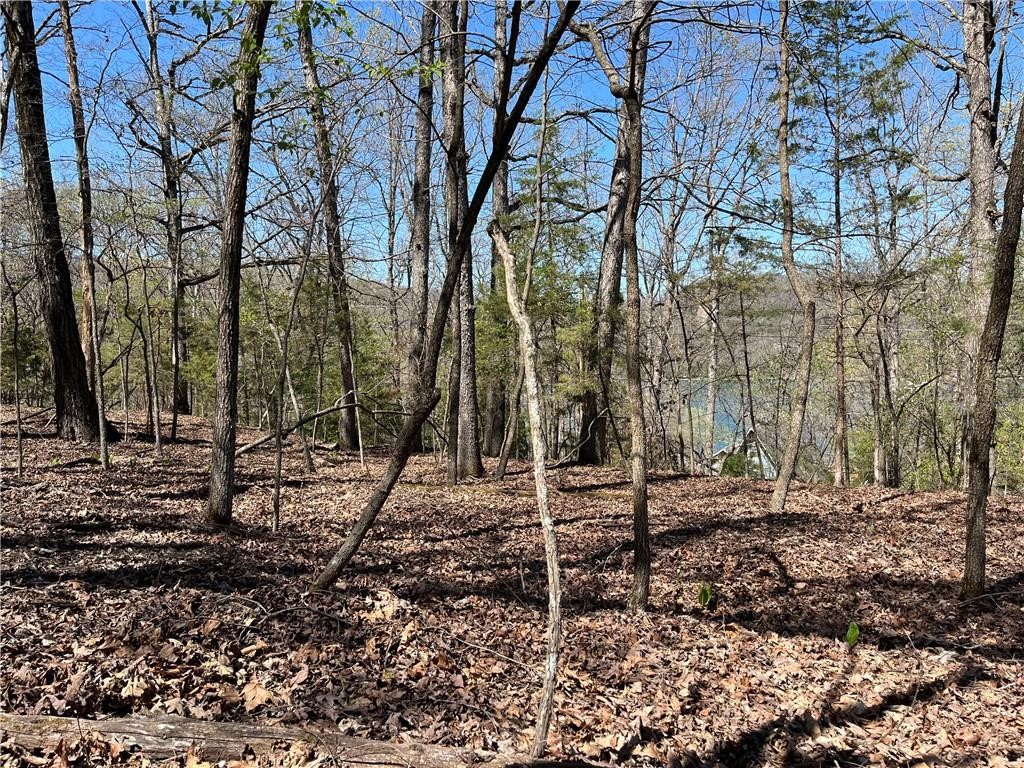 Lot 12 Dogwood Drive