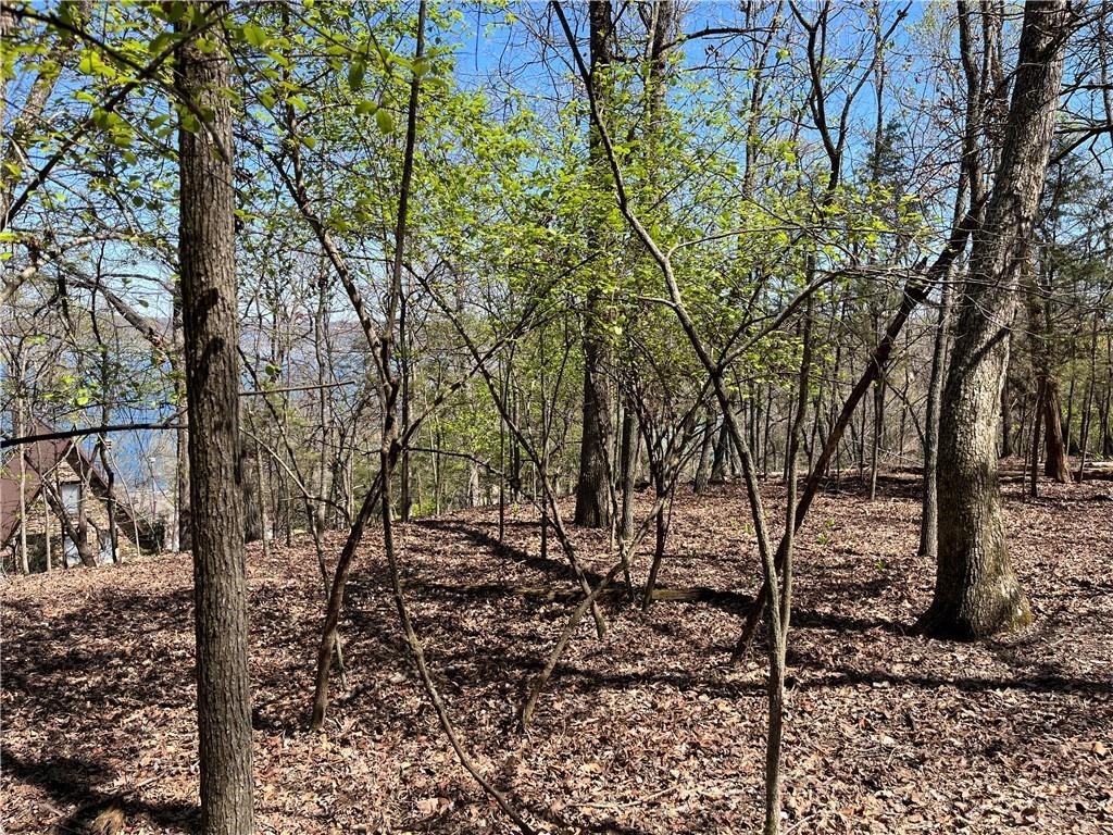 Lot 12 Dogwood Drive