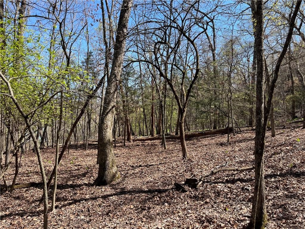 Lot 12 Dogwood Drive