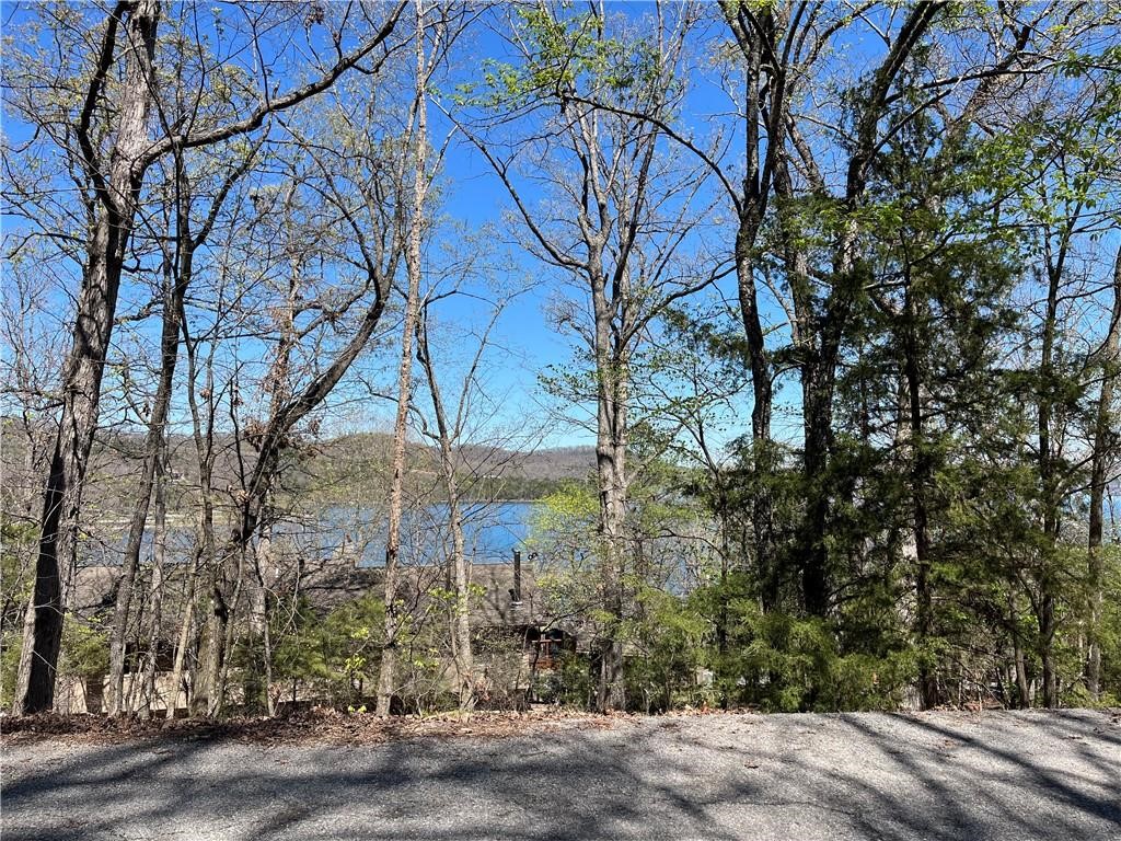Lot 12 Dogwood Drive