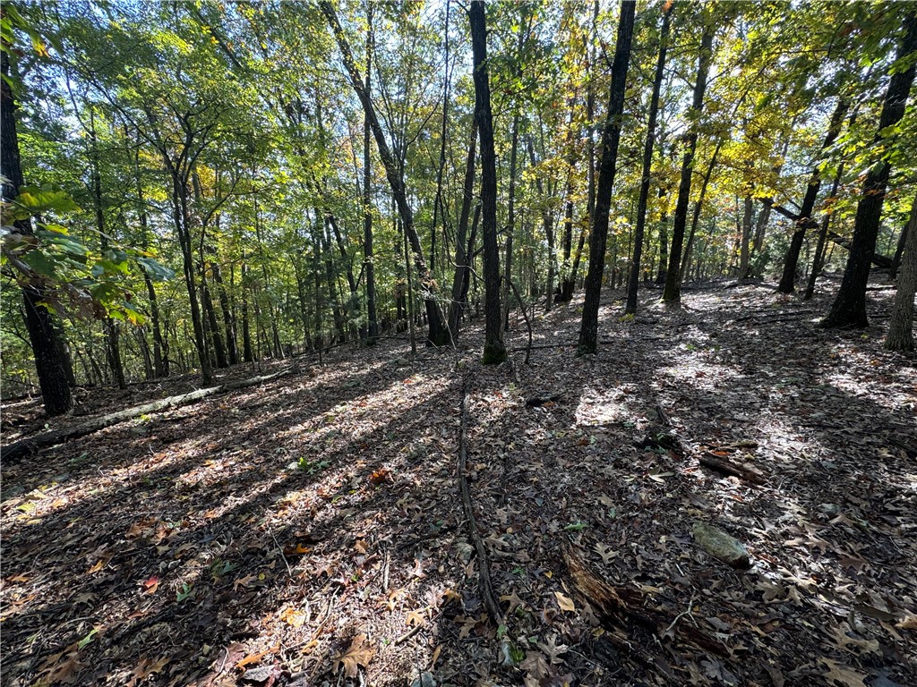 Tract 1 1601 Mundell Road