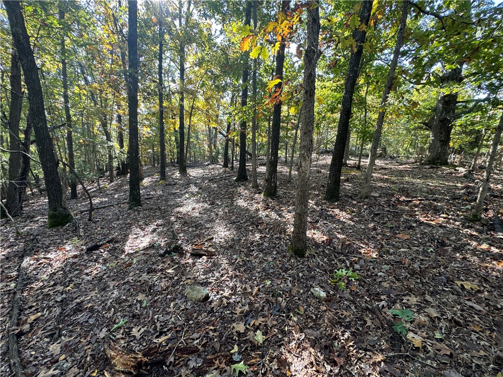 Tract 1 1601 Mundell Road