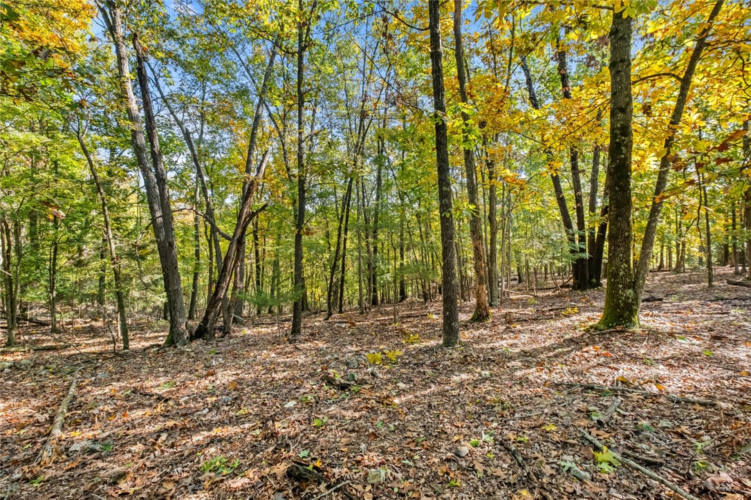Tract 1 1601 Mundell Road